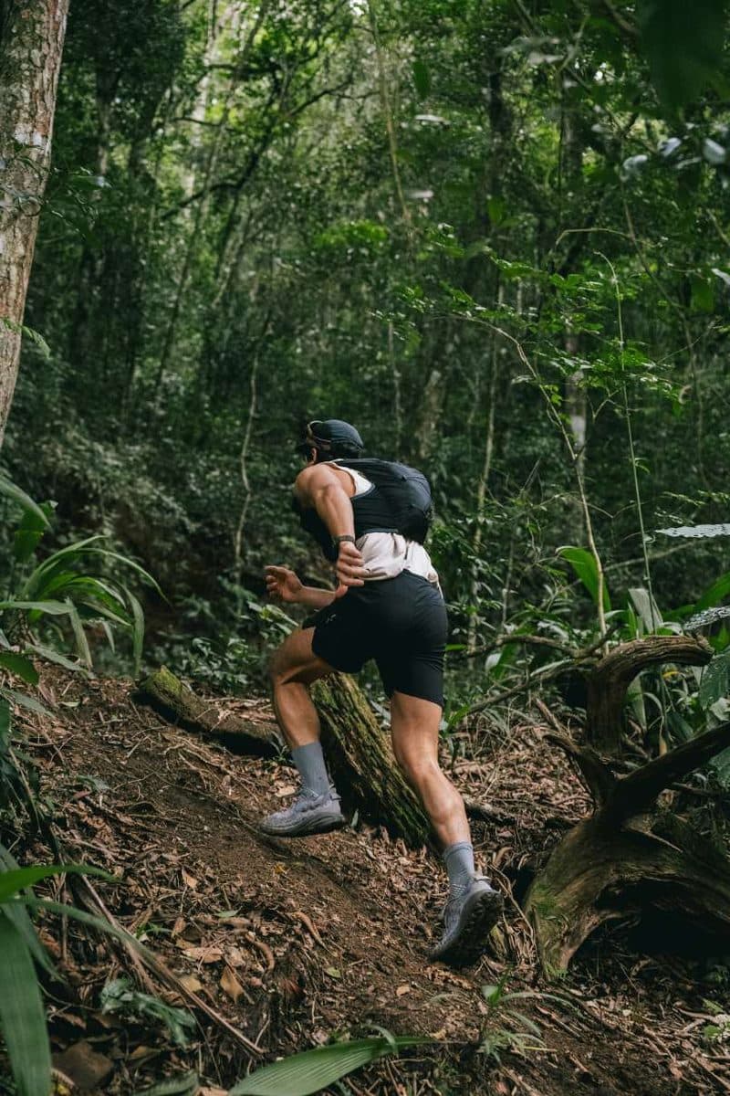 Hiker climbing a forest trail